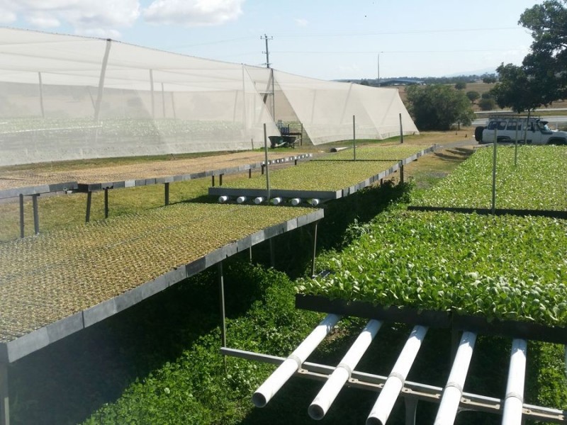 2186 Warrego Hwy, Haigslea QLD 4306