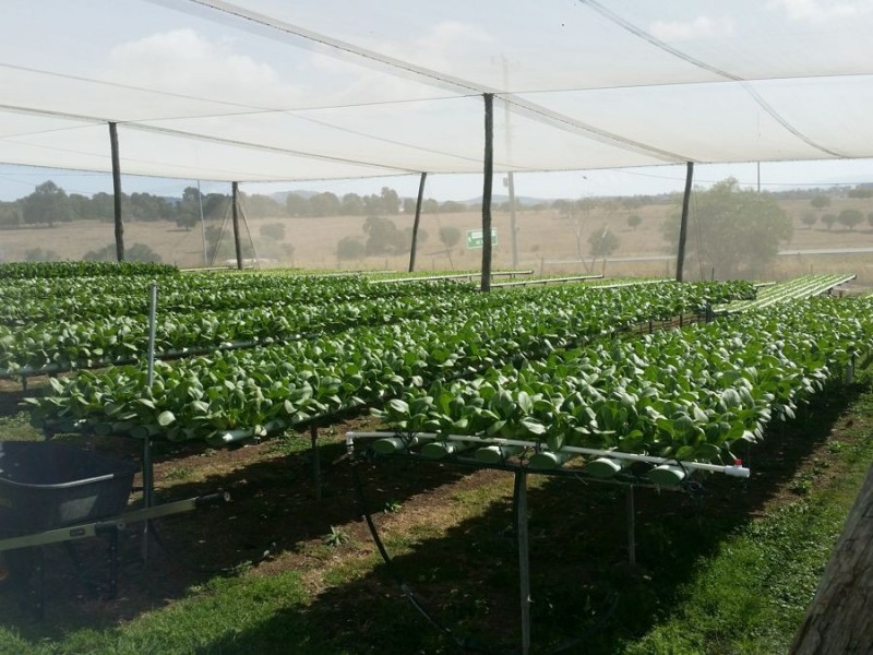 2186 Warrego Hwy, Haigslea QLD 4306