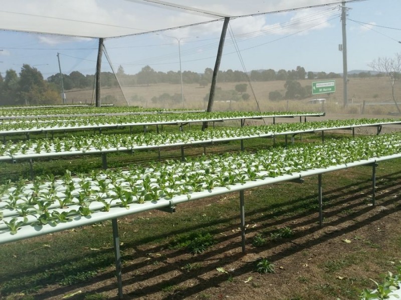 2186 Warrego Hwy, Haigslea QLD 4306