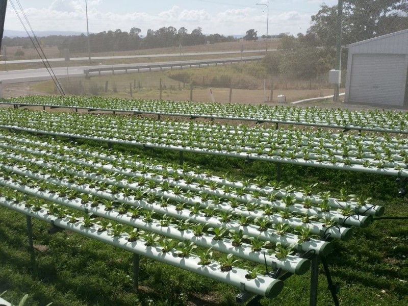 2186 Warrego Hwy, Haigslea QLD 4306