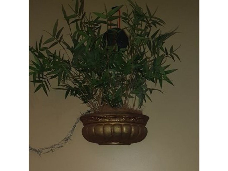 Indooroopilly QLD 4068