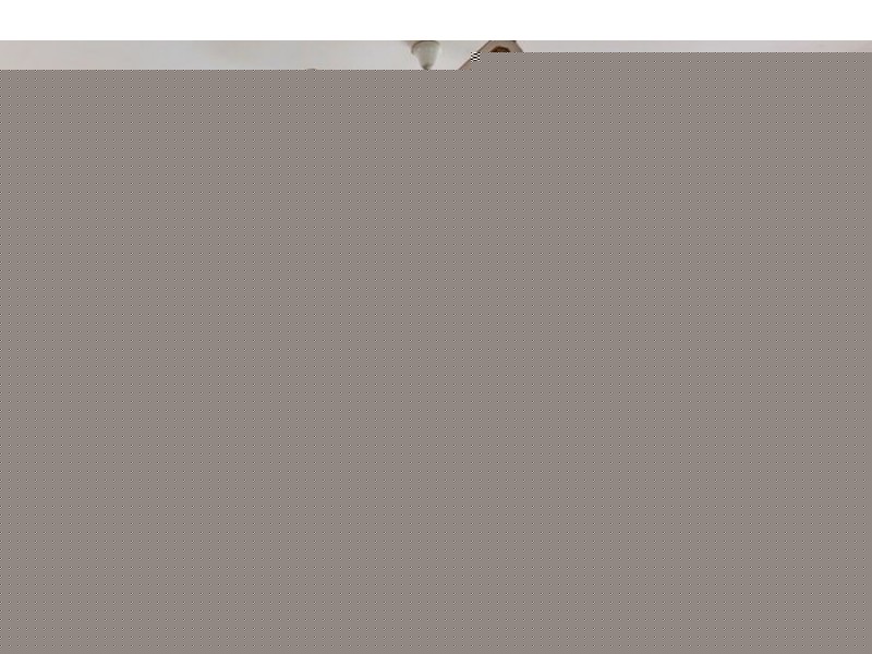 14 Shirley Street, Ipswich QLD 4305