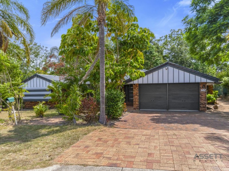 119 Cedar Road, Redbank Plains QLD 4301