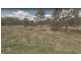 Blenheim QLD 4341