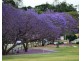 1-6 61a Bertha, Goodna QLD 4300