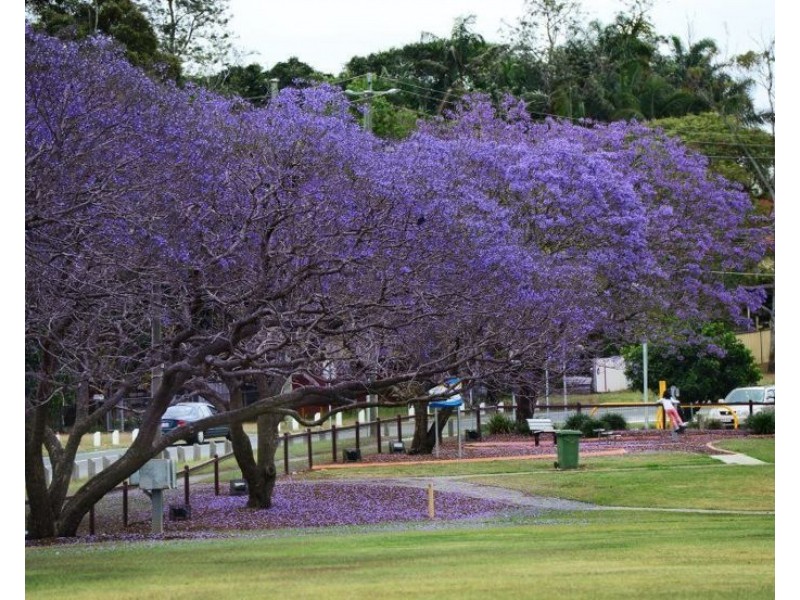 7-12 61a Bertha, Goodna QLD 4300