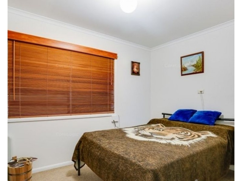 9 Carol Street, Redbank Plains QLD 4301