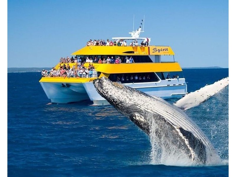 1274-1352 Maryborough-Hervey Bay Road, Sunshine Acres QLD 4655