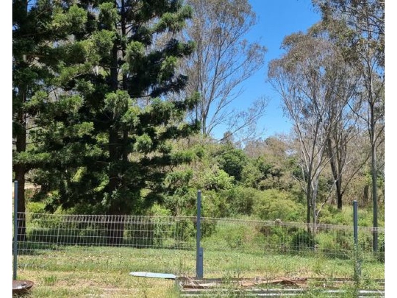 10 Springall Street, Basin Pocket QLD 4305