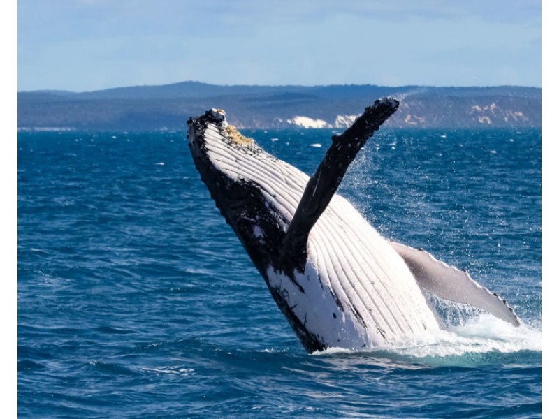 Lot 2 & 15 Christensen Street, Hervey Bay QLD 4655