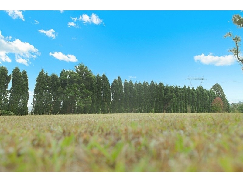 Mangrove Mountain NSW 2250