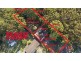 Blackwall NSW 2256
