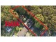 Blackwall NSW 2256