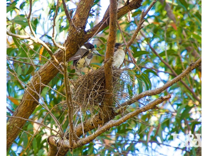 101 The Broadwaters, Tascott NSW 2250