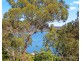 3 Daley Avenue, Daleys Point NSW 2257