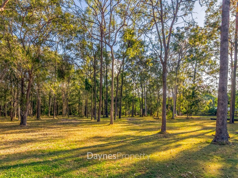 41 Abbott Street, Forestdale QLD 4118