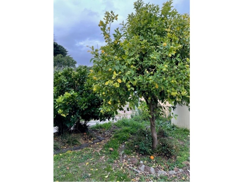 76 East Esplanade, St Albans VIC 3021