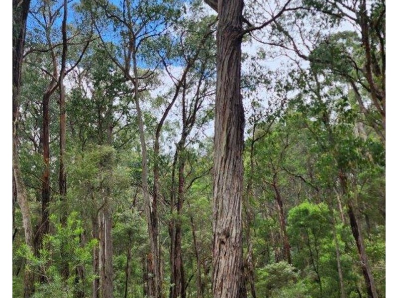 40 Wall-Skinners, Carlisle River VIC 3239