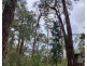 40 Wall-Skinners, Carlisle River VIC 3239