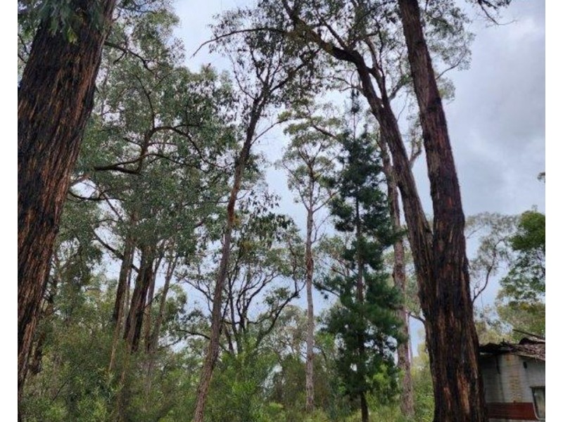 40 Wall-Skinners, Carlisle River VIC 3239