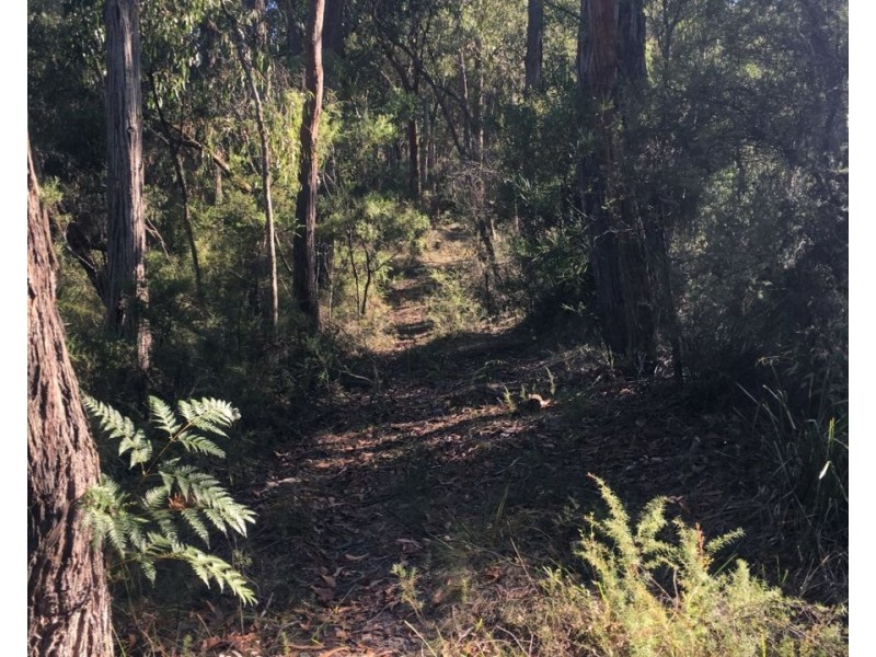 40 Wall-Skinners, Carlisle River VIC 3239