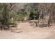 208 Mary Munro Crescent, Agnes Water QLD 4677