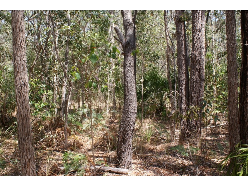 Lot 299 Masthead Drive, Agnes Water QLD 4677