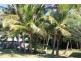 8 Beach Houses Estate Road, Agnes Water QLD 4677