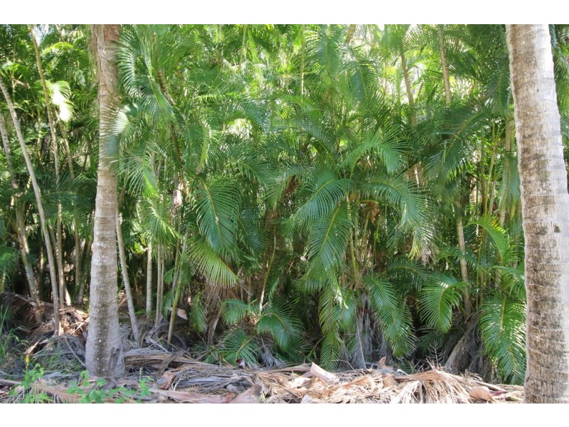 8 Beach Houses Estate Road, Agnes Water QLD 4677