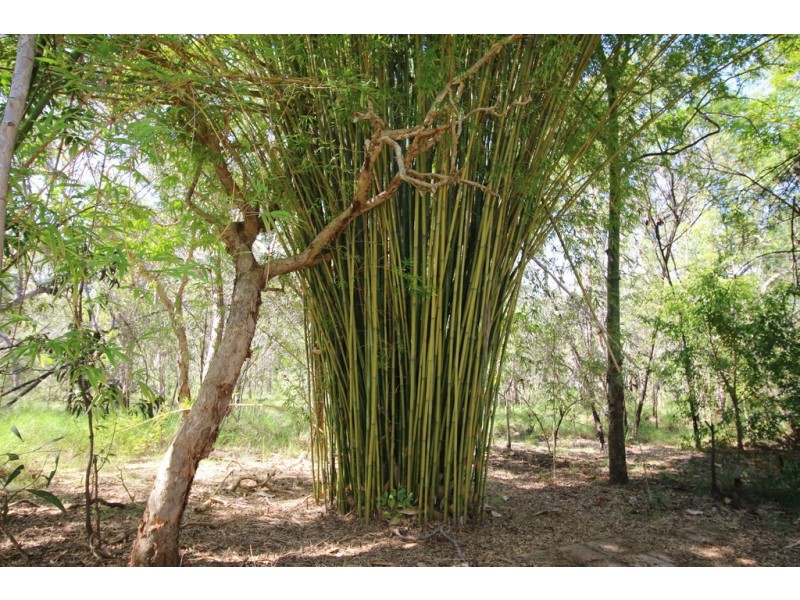 47 Bunker Road, Round Hill QLD 4677