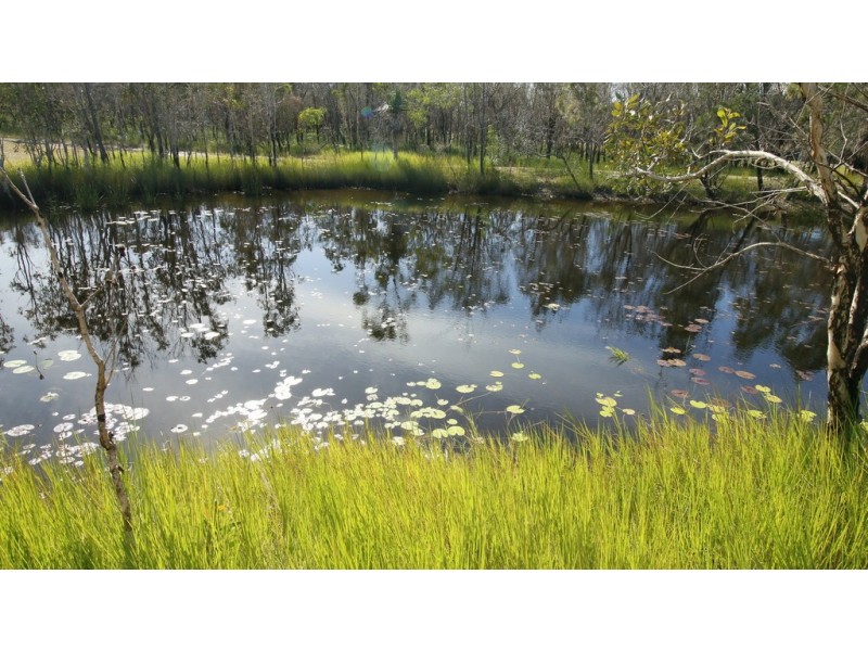 Lot 236 Allingham Way, Agnes Water QLD 4677