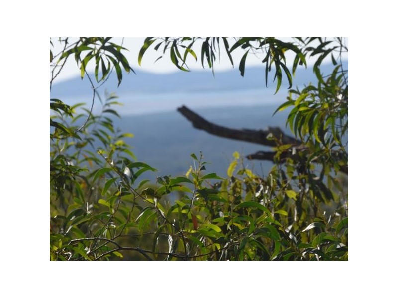 Captain Creek QLD 4677