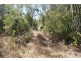 LOT 250 Innamincka Way, Agnes Water QLD 4677