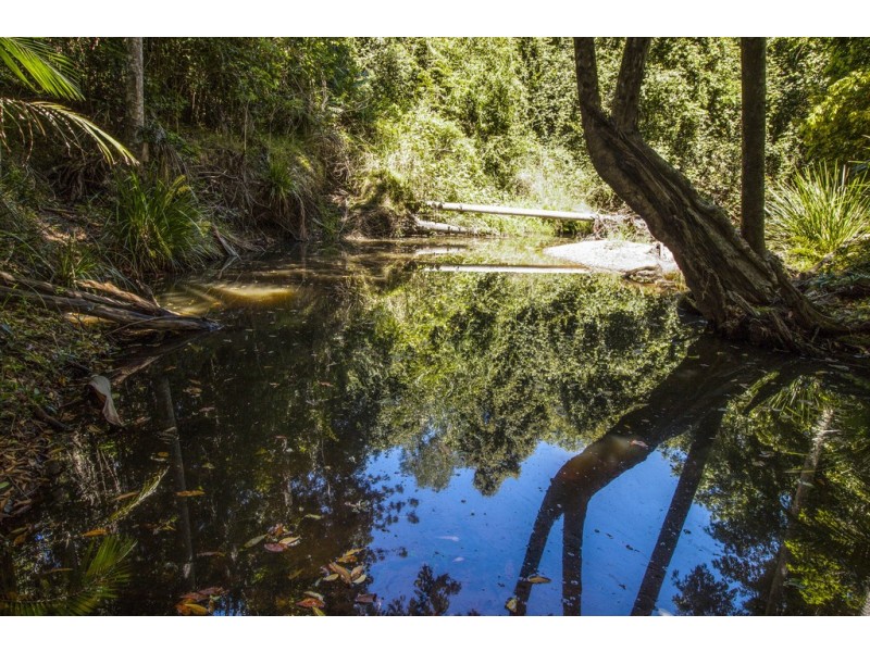 240 Ballantyne Road, Captain Creek QLD 4677