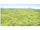 1416 Lowmead Road, Colosseum QLD 4677