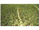 1416 Lowmead Road, Colosseum QLD 4677