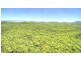 1416 Lowmead Road, Colosseum QLD 4677