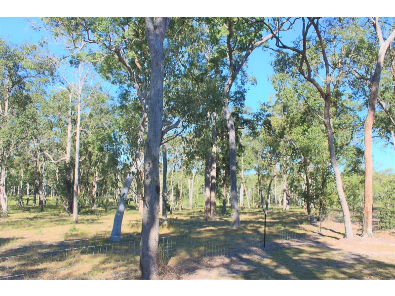 252 Murphy Road, Captain Creek QLD 4677