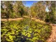 211 Allingham Way, Agnes Water QLD 4677