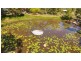 109 Whyte Crescent, Agnes Water QLD 4677