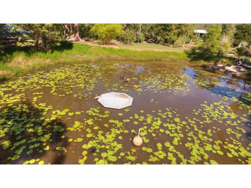 109 Whyte Crescent, Agnes Water QLD 4677