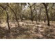 Lot 36 Bloodwood Avenue, Agnes Water QLD 4677
