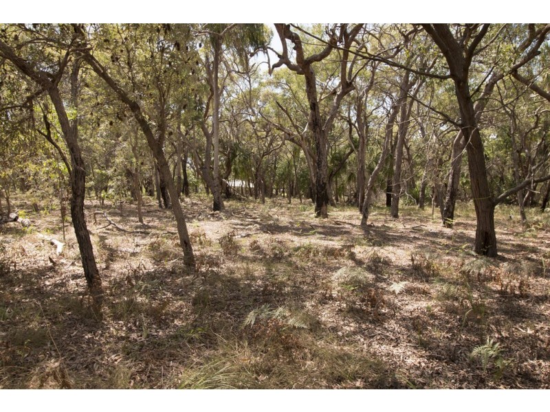 Lot 36 Bloodwood Avenue, Agnes Water QLD 4677