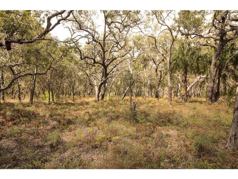 Lot 36 Bloodwood Avenue, Agnes Water QLD 4677