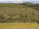 Lot 157 Murphy Road, Captain Creek QLD 4677