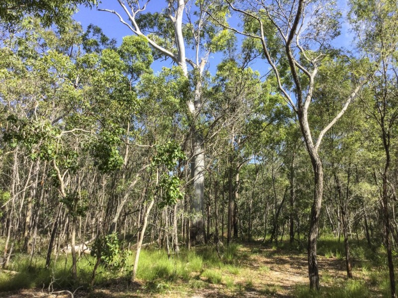 Lot 43 Bootmaker Drive, Round Hill QLD 4677