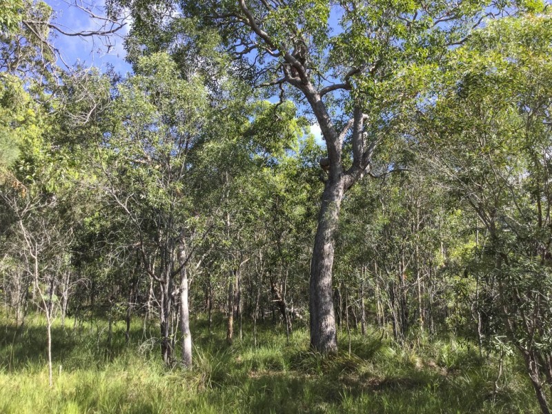 Lot 43 Bootmaker Drive, Round Hill QLD 4677