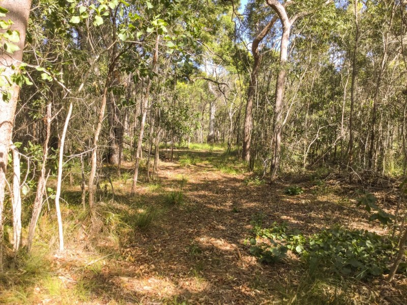 Lot 43 Bootmaker Drive, Round Hill QLD 4677