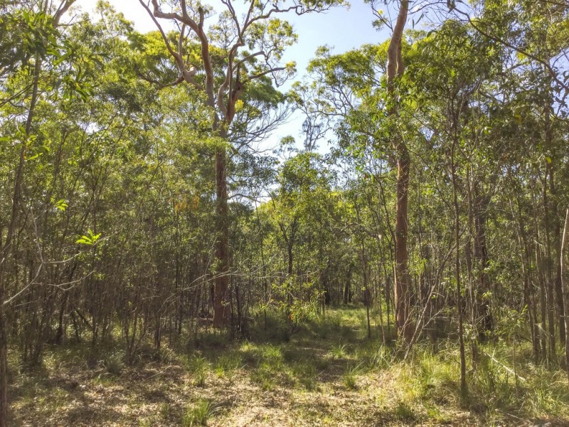 Lot 43 Bootmaker Drive, Round Hill QLD 4677