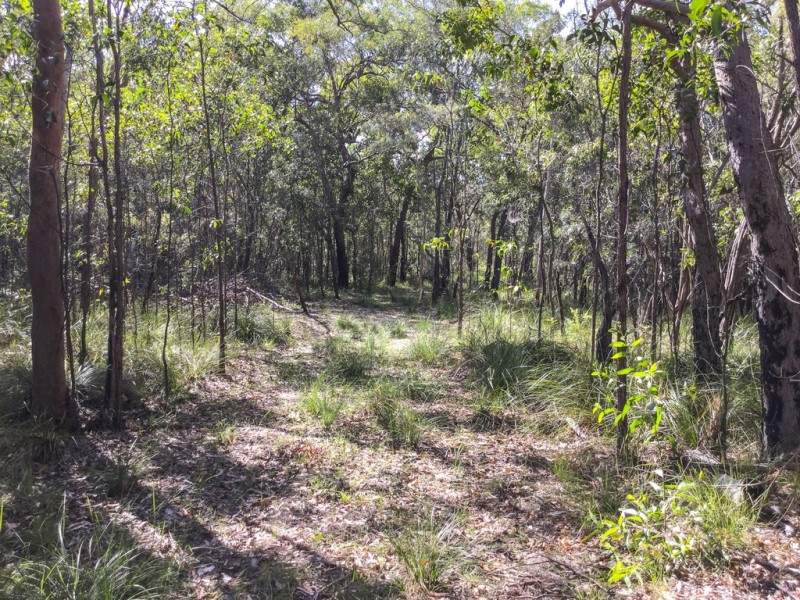 Lot 43 Bootmaker Drive, Round Hill QLD 4677